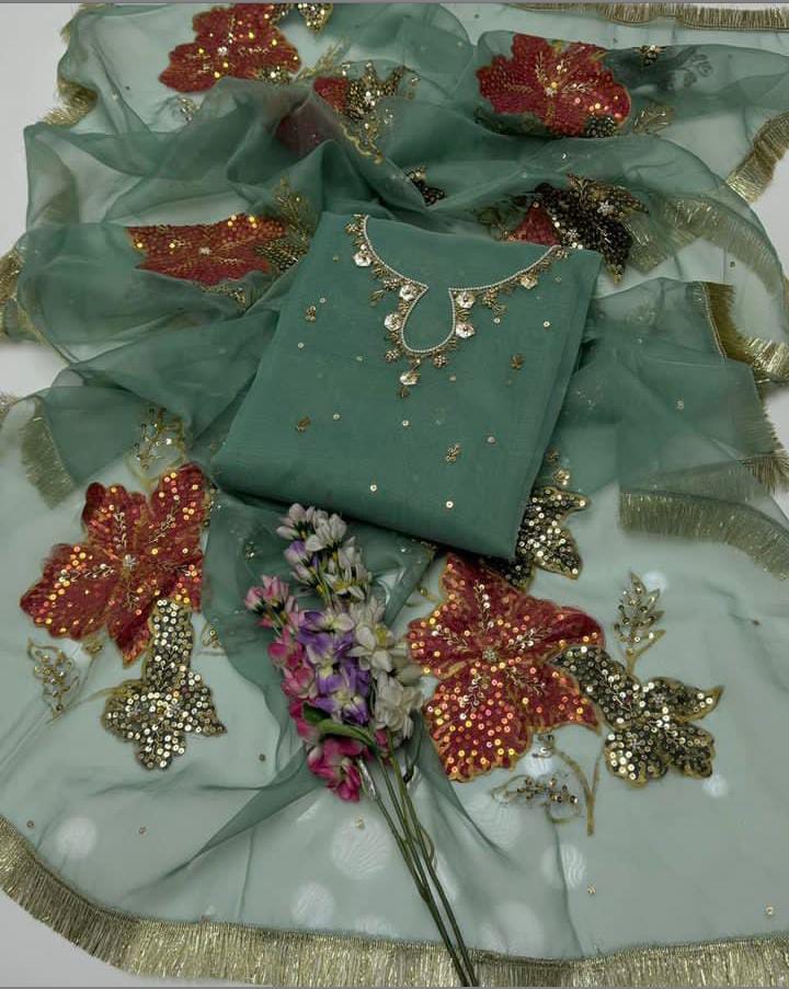 2PC Heavy Fancy Organza Dress with Adda Work & HandPaint